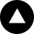 Springer Capital logo